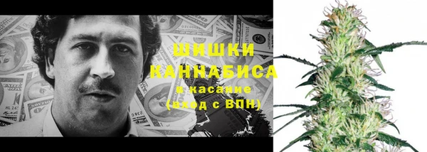 прущие грибы Козельск