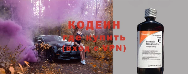 прущие грибы Козельск