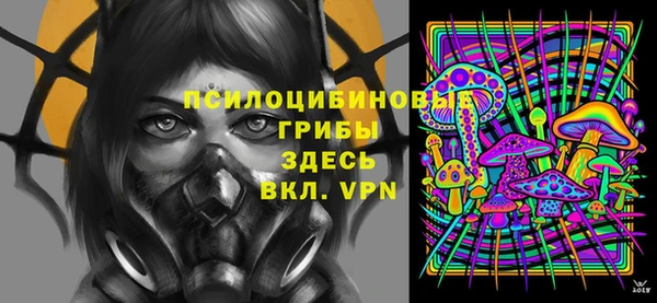 соль ск Коряжма