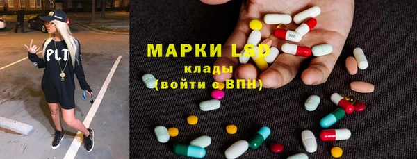 прущие грибы Козельск