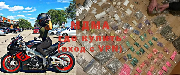 прущие грибы Козельск
