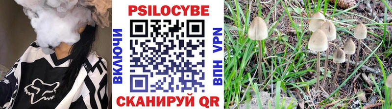 Псилоцибиновые грибы Magic Shrooms  хочу   Называевск 